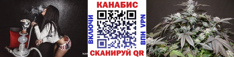 Бошки Шишки Amnesia  Кингисепп 