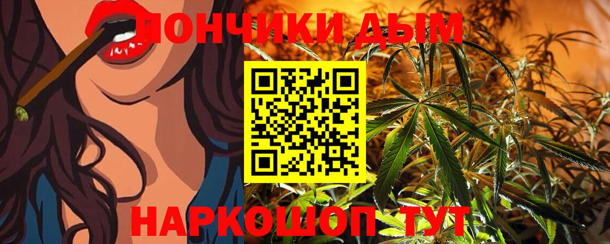 Конопля Bruce Banner  Конопля гибрид  Кингисепп  Вход с VPN 