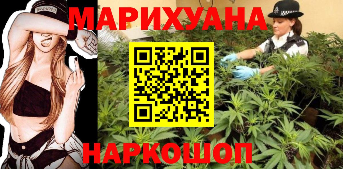 Марихуана сатива Кингисепп